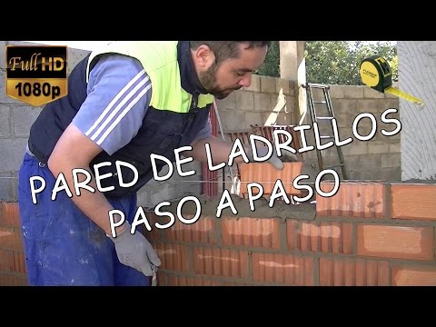 Video: ¿Cómo se hormigona una pared de ladrillos?