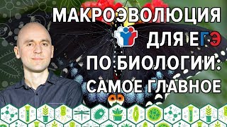15. Макроэволюция для ЕГЭ по биологии: самое главное 15. Макроэволюция для ЕГЭ по биологии: самое главное