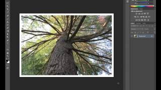 How to make diptych using CANVAS SIZE - Edited