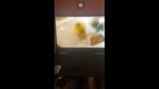 Even More Fixed Panera Song