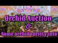 ORCHID AUCTION & VIEWER REQUEST - WHY JOIN AN ORCHID SOCIETY?