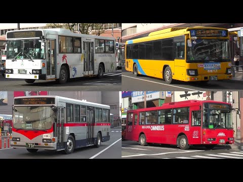 【値下げ】鹿児島市営バス　後方方向幕 鹿児島中央駅時代 レビュー高評価のおせち贈り物 値下げ】鹿児島市営バス 鹿児島
