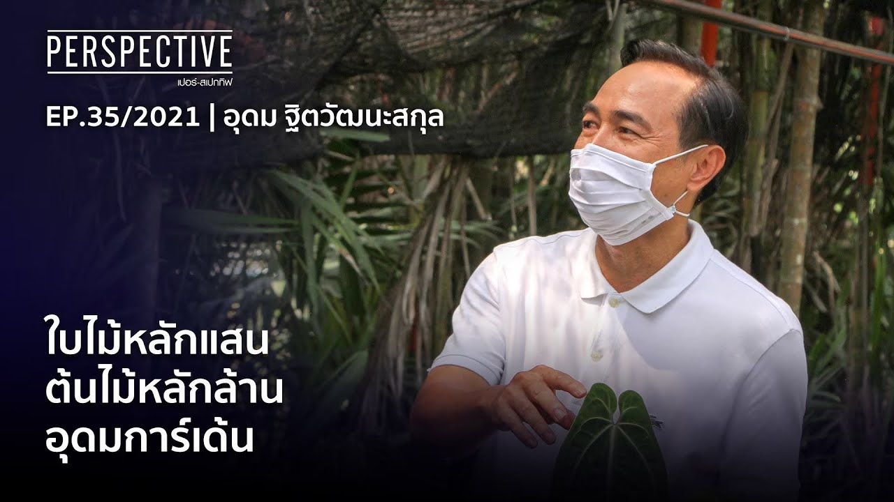 อาจารย์อุดม ฐิตวัฒนะสกุล เจ้าของสวนอุดมการ์เด้น EP.1 | Perspective [21 พ.ย. 64]