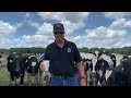 Florida Dairy Farmers Milk Toast - 2020