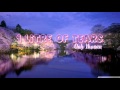Karaoke -Only Human ( 1 Litre Of Tears Ost) - K ( Lyrics + Vietsub)