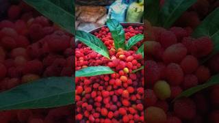 Organic pahad #uttarakhand #chamoli #pithoragarh #love #fruit #kumaoni #bharat