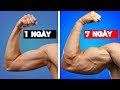 12 Cách Tăng CƠ BẮP Tay NHANH Cho Nam Giới | Tập GYM Nam , Thể Hình Giúp Tăng Cơ Giảm Mỡ