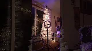  Teddys Allnight Nyc Christmas Movie Takeover 