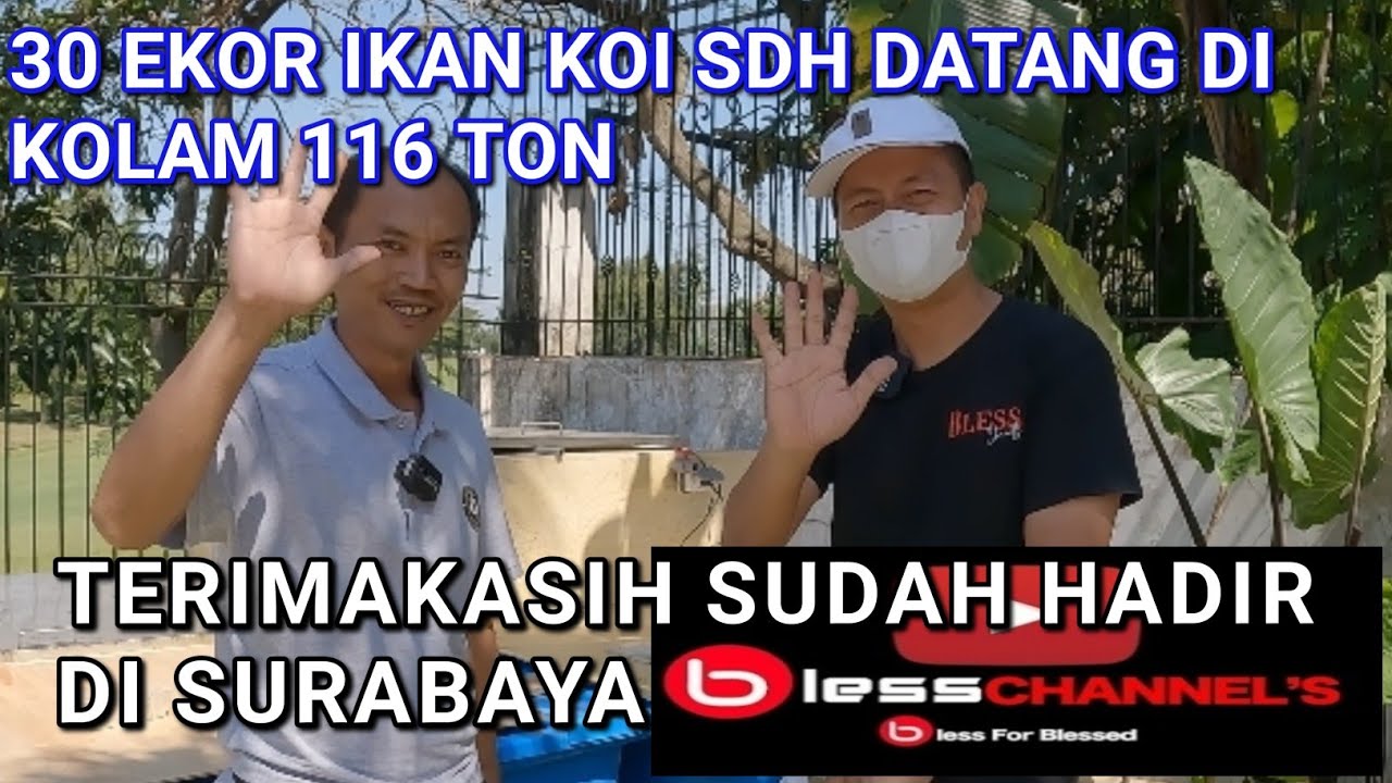 KEDATANGAN SENIOR OM ADE BLESS CHANNEL SEMARANG | PROSES IKAN BARU DATANG