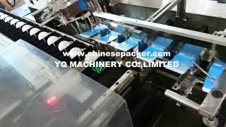 automatic light bulb box packaging machine for LED lamp bulbs horizontal cartoning systems