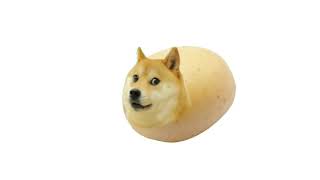 Potato dog | Outcast