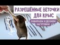 ВЕТОЧКИ ДЛЯ КРЫС | ЛЕТНИЙ ПРИКОРМ ДЛЯ КРЫС | КАКИЕ ВЕТОЧКИ МОЖНО КРЫСАМ