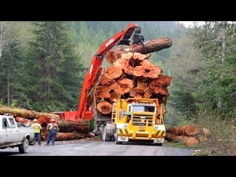 Crazy Drivers Idiots Fails Giant Logging Truck Cars  Heavy Equipment Machines In Dangerous Work