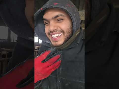 جبتو عج له دي منين