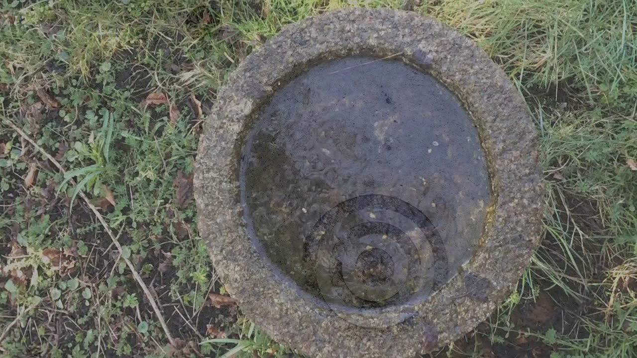 Silences Habités by Pauline Jupin