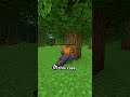 The Impossible Seed in Minecraft! #shorts