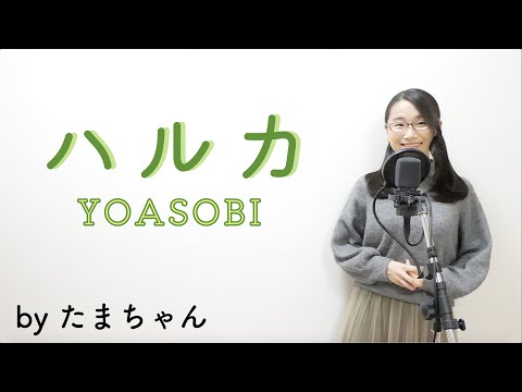 YOASOBI / ハルカ(たまちゃん,Tamachan)【歌詞付(概要欄) / フル(full cover)】