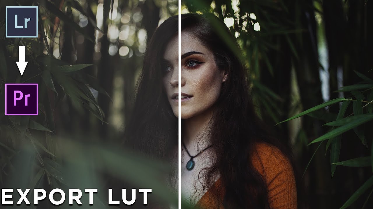 lightroom lut generator lightroom lut generator