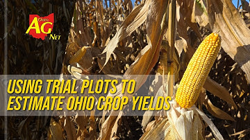 Using Seed Plot Trials to Estimate Crop Yields