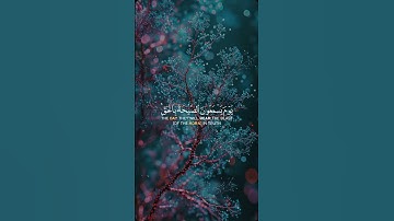 تلاوة القرآن الكريم | يوم القيامة #اكسبلور #لايك #قرأنالكريم #الله