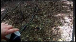 20100710_Paintball_YouTube.mp4