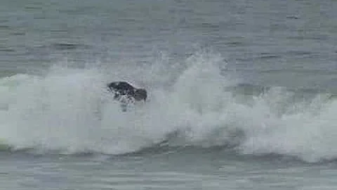 Eddie Lester surfing at El Porto