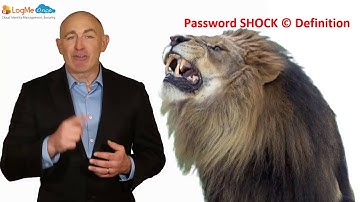 LogMeOnce V6.3 Password SHOCK (C) and Freeze