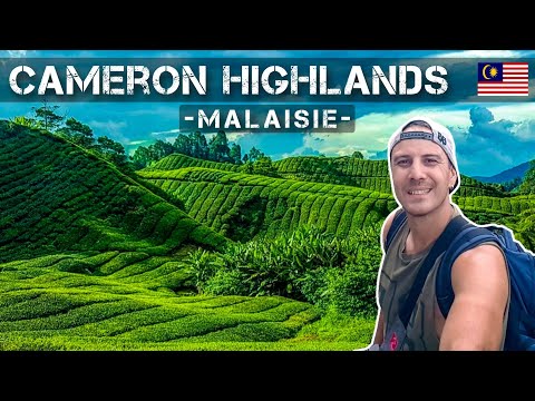 Vidéo: Sentiers de trekking dans les Cameron Highlands