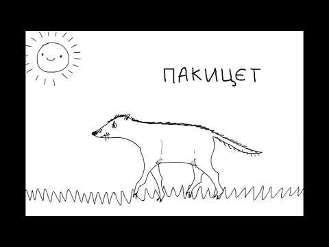 Почему киты — это не рыбы