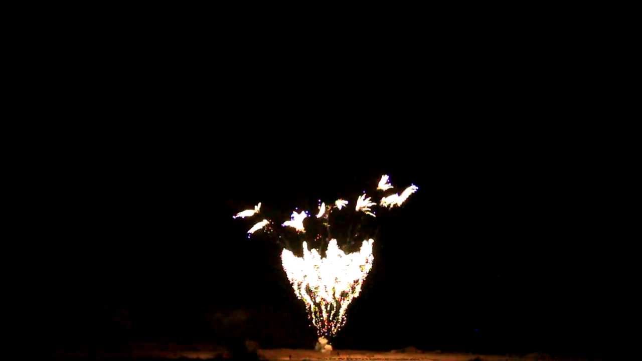 CAKEBOXEN   FANSHAPE Cake silver spinning tail horse tail blue star