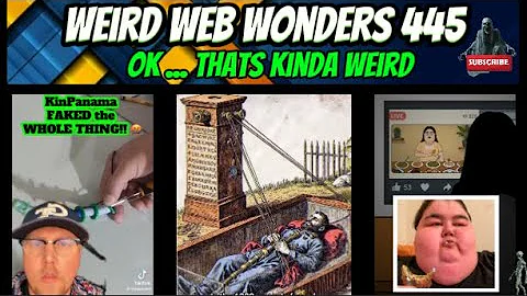 weird web wonders 445