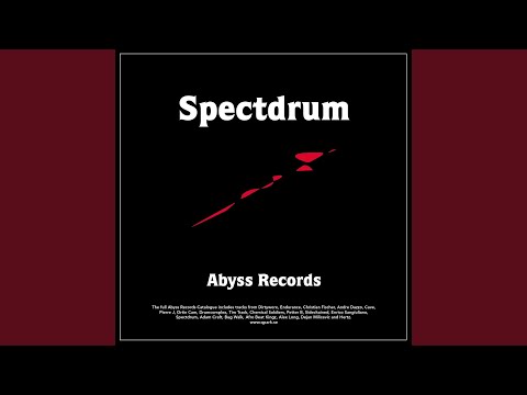 Spectdrum — Experience