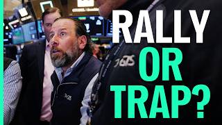 Rally or Trap? Here’s Where the Real Opportunity Shows Up Information