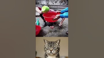 give this video a title (wrong answers only) #educational #ohio #usa #trending #education #tips..