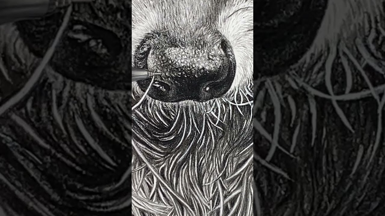 This Pencil is the best for details. 