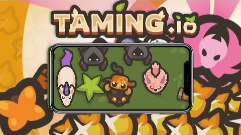 The Taming.io 2024 MOBILE experience in a nutshell