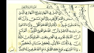 سورة لقمان ثمن [ ومن يسلم وجهه لله وهو محسن فقد استمسك بالعروة الوثقى ]