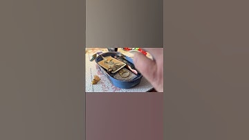 Assemblage seagull #recycledart #assemblageart #foundobjects #artshorts