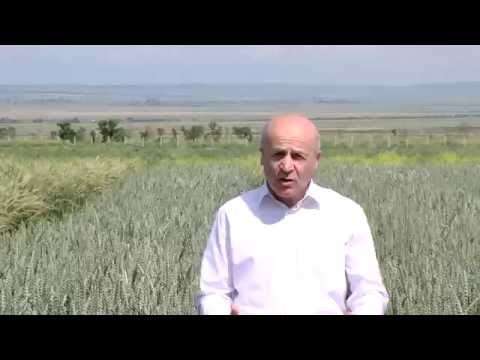 კახეთში საცდელ-სადემონსტრაციო ნაკვეთების დაათვალიერება