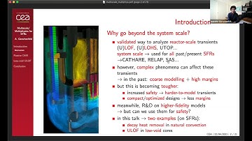 Multi-scale and multi-physics modelling for advanced reactors