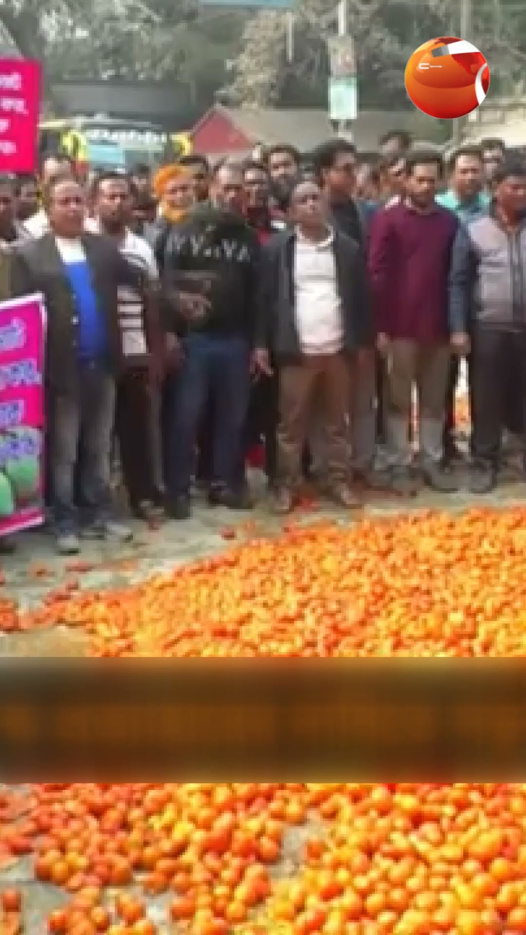 সড়কে টমেটো ফেলে কৃষকদের বিক্ষোভ!  #tomato #natore  #demonstration  #Channel24