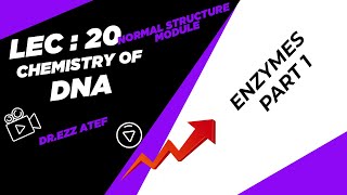 Biochemistry - 1st year - (20) Enzymes part  1