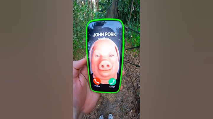 NIKPIG Found JOHN PORK iphone IN OHIO