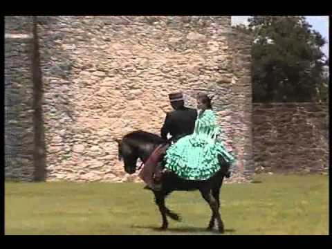 Caballos Espanoles USA/ Presidio La Bahia Goliad, ...