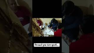 Vighnahrta Yuvak Mandal Surali 2023 Mountain Decoration For Ganpati 2023