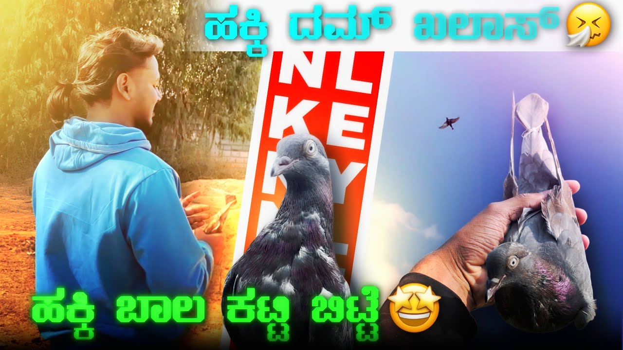 Why I taied Pigeon tail in kannada ||Prince loft|| ಪಾರಿವಾಳ ಬಾಲ ಯಾಕೆ ಕಟ್ಟಿದ್ದೇನೆ ಗೊತ್ತ😱🤔🕊