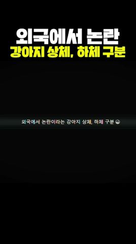 videoCoverImage