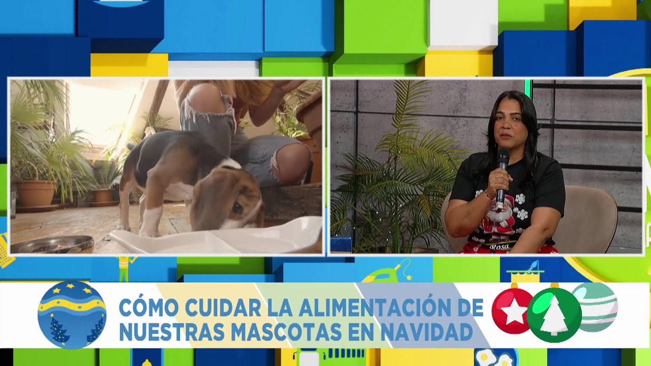El Mangú de la Mañana | Navidad segura para tus mascotas: consejos de la Dra. Rosa Naveo