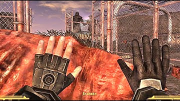 Tipsy Brahmin Tipping | Fallout New Vegas