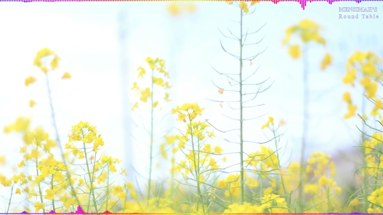 Feeling Overwhelmed? The Pressures That Lead to Real Change!